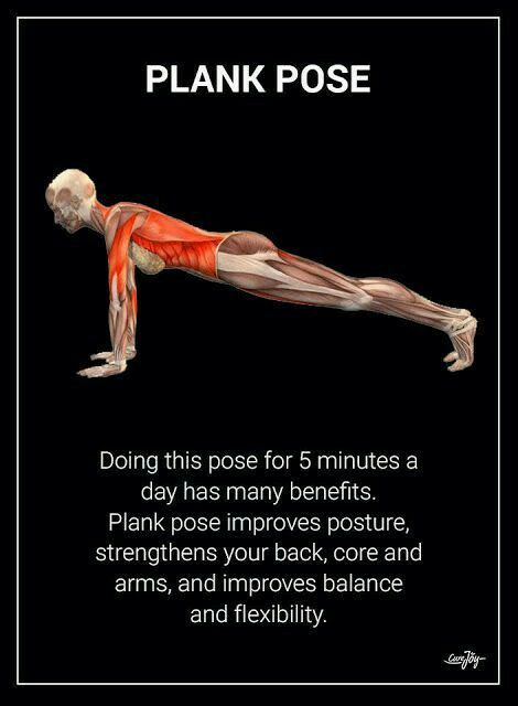 Yoga Anatomy, Plank Pose, Health And Fitness Articles, Yoga Exercises, Easy Yoga Workouts, Acro Yoga, Fitness Articles, Stretching Exercises, Easy Yoga