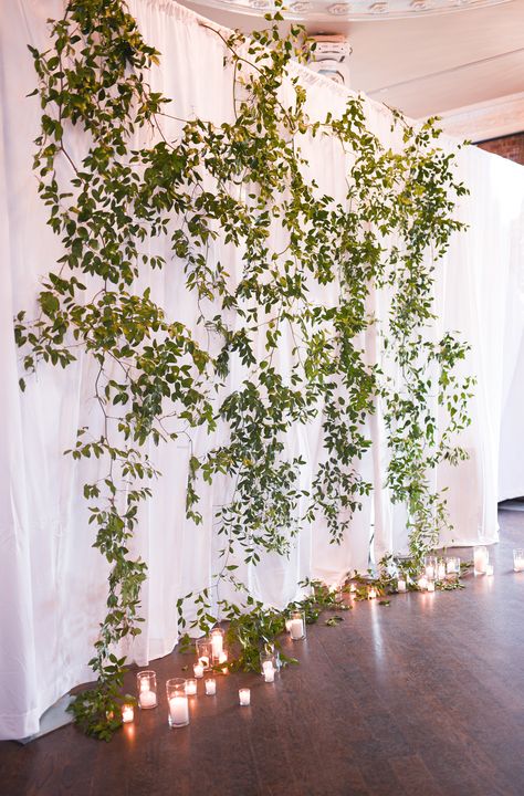 Hanging Greenery Backdrop, Greenery Ceiling Decor, Wedding Backdrop With Lights, Green Wall Wedding Backdrop, Flower Vine Decor, Hanging Greenery Wedding, Backdrop With Lights, Foliage Wedding Decor, Wedding Backdrop Lights