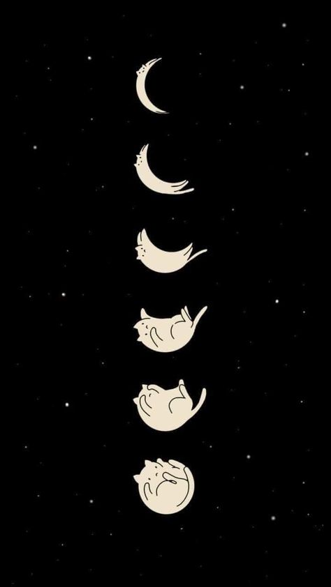 Wallpaper Backgrounds Cats, Cat Drawing Step By Step, Acab Tattoo, Cat Minimalist, Cat Pattern Wallpaper, Cats In Space, Kawaii Cat Drawing, Cat Phone Wallpaper, Pet Paradise