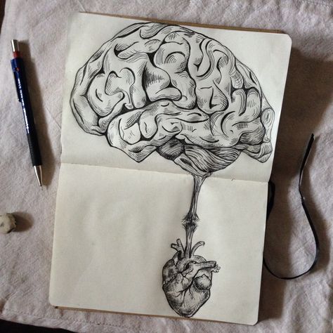 Brain Pencil Drawing, Anatomical Heart Art Unique, Drawing Brain, Heart Vs Mind, Zen Drawings, Heart Vs Brain, Surrealistic Art, Skull Sleeve, Skull Sleeve Tattoos