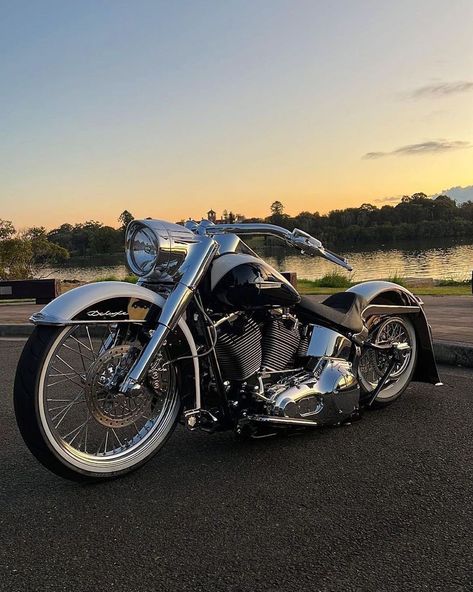 Your daily dose of the best Harley Davidson Softail photos Hd 883 Iron, Harley Softail Custom, Harley Softail Deluxe, Harley Davidson Pictures, Sportster Bobber, Custom Motorcycles Harley, Bagger Motorcycle, Harley Davidson Softail, Softail Custom