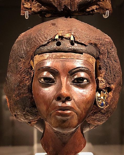 Queen Tiye, Egypt Queen, Ancient Nubia, Amenhotep Iii, Egyptian Mummies, Egyptian History, Ancient Egyptian Art, African History, Egyptian Art