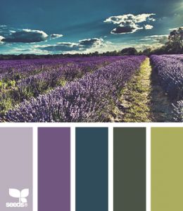 purple and green inspiration palette | Color Inspiration – Purple, Green and Teal Casa Country, Palette Design, Color Palate, Design Seeds, Colour Field, Lavender Fields, Color Stories, Colour Schemes, Color Pallets