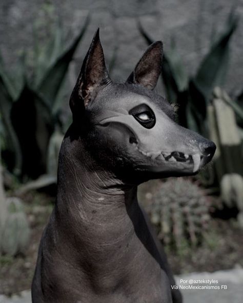 Mexican Hairless Dog, Demon Dog, Mexican Art Tattoos, Maya Art, Mexican Culture Art, Hairless Dog, Dog Skeleton, Aztec Culture, Mexico Design