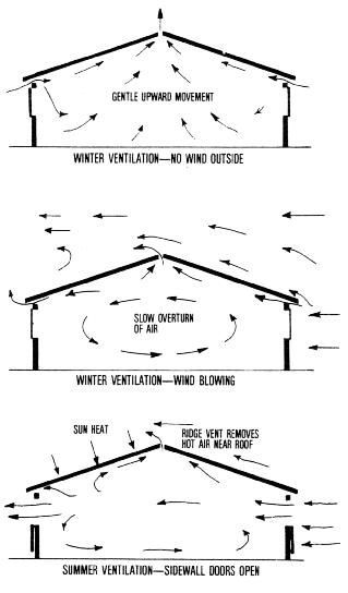 Reban Ayam, Goat Barn, Diy Chicken Coop Plans, Backyard Chicken Farming, Coop Design, Chicken Coop Designs, Chicken Garden, Chicken Coop Plans, Backyard Chicken Coops