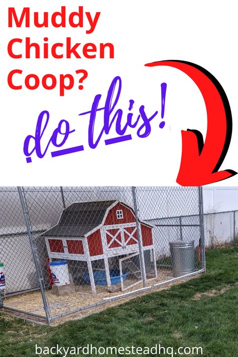 Chickens Coop, Chicken Coop And Run, Urban Chicken Coop, Automatic Chicken Door, Coop And Run, Chicken Manure, Clean Chicken, Chicken Coup, Chicken Coop Run