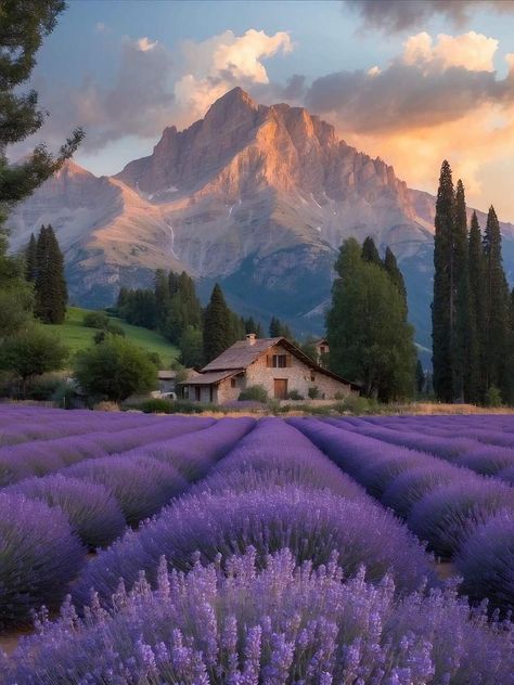 Lavender Fields France, Lavender Fields Photography, Natural Beauty Photography, Pretty Landscapes, Fields Photography, Beautiful Landscape Wallpaper, Aesthetic Photography Nature, Beautiful Photos Of Nature, Lavender Fields