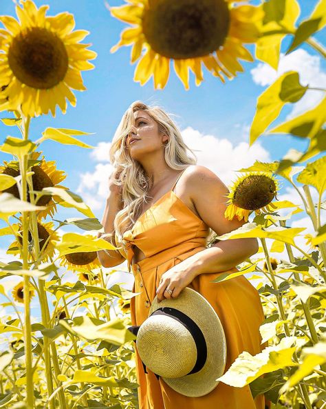 Pictures With Sunflowers, Sunflower Field Photography, Sunflower Field Pictures, Sunflower Season, Rauch Fotografie, Sunflower Patch, Sunflower Photography, Sunflower Photo, Flower Photoshoot