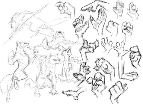 #paws #canid #canine #hands #fingers Paw Hand, Paw Drawing, Draw A Face, Creature Concept Art, Animal Sketches, Anatomy Art, Art Poses, Drawing Base, Art Inspiration Drawing