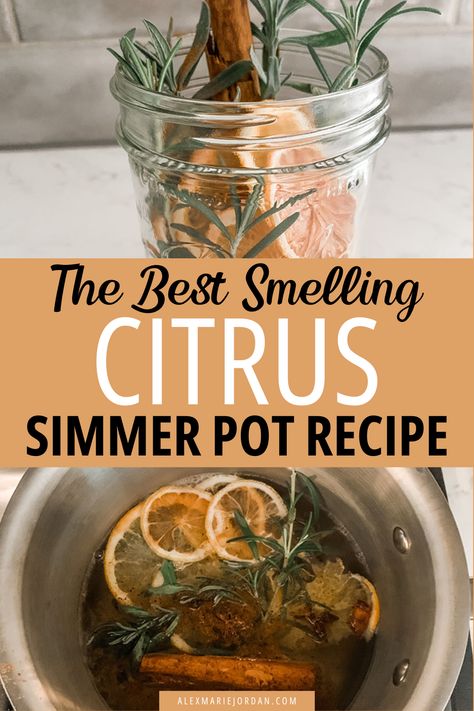 Grapefruit Simmer Pot, Citrus Christmas, Pot Potpourri, Potpourri Recipe, Christmas Simmer Pot, Simmering Pot, Simmer Pots, Dried Citrus, Dried Potpourri