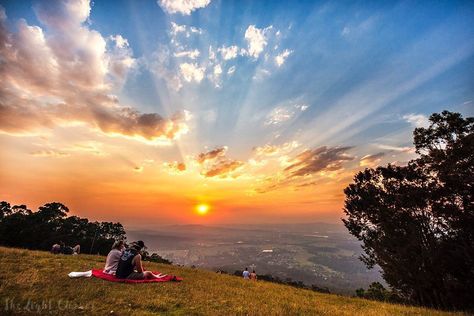 Tamborine Mountain - Top Things To Do | Queensland Bitterroot Mountains, Tambourine Mountain, Mount Gambier South Australia, Bontoc Mountain Province, Tamborine Mountain, Tamborine Mountain Australia, Quaint Village, Mountain Town, Mountain Top