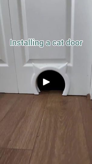 104K views · 5.6K reactions | Finally found a litter box solution! Our living area is small and we didn't like having the litter boxes out in the open. We decided to give up our coat closet and turn it into a dedicated litter space for Bambi | Fostering kittens | Fostering kittens · Original audio Closet Cat Litter, Fostering Kittens, Cat Things, Coat Closet, Cat Box, Diy House, Litter Box, Cat Litter, Giving Up