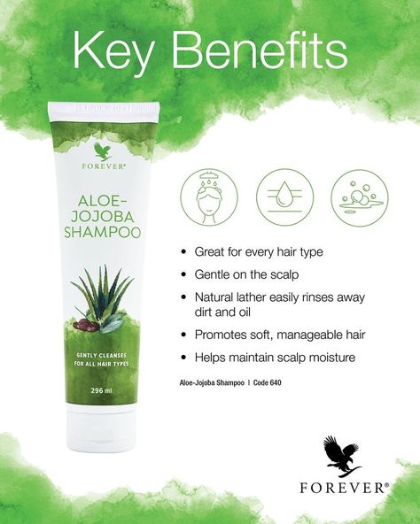 Aloe Vera Gel Benefits, Aloe Vera Gel Forever, Aloe Sunscreen, Jojoba Shampoo, Aloe Berry Nectar, Forever Living Aloe Vera, Aloe Vera Skin Care, Forever Products, Gel Natural