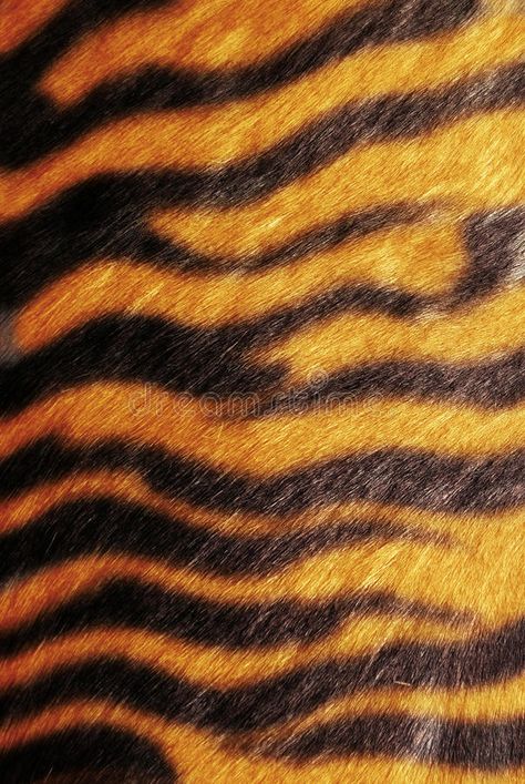 Tiger skin texture. Texture of wild cat skin #Sponsored , #affiliate, #Paid, #skin, #cat, #wild, #Tiger Tiger Skin Tattoo, Animal Texture Drawing, Tiger Skin Wallpaper, Tiger Scratch, Tiger Texture, Tiger Paws, Animal Crossing Cats, Leopard Print Tattoos, Texture Sketch