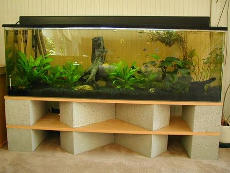 Diy Aquarium Stand, 75 Gallon Aquarium, Cinder Block Furniture, Aquarium Diy, Aquarium Stands, Fish Stand, Fish Tank Stand, Amazing Aquariums, Diy Fish Tank