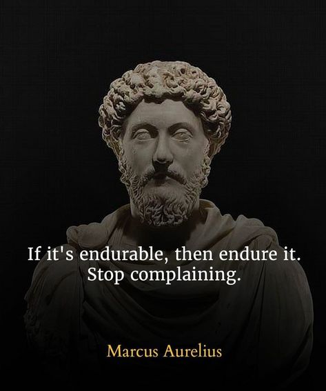 Marcus Aurelius Quotes, Stoicism Quotes, Stoic Quotes, Philosophical Quotes, Historical Quotes, Warrior Quotes, Philosophy Quotes, Powerful Quotes, Quotable Quotes