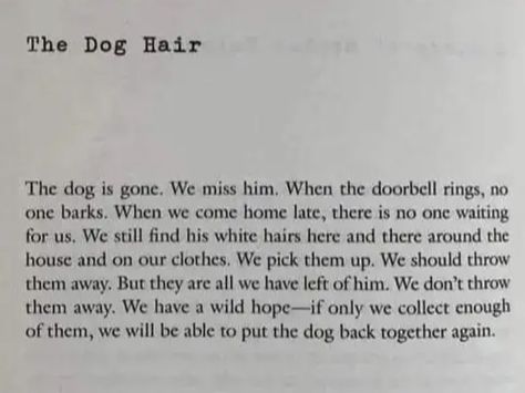 He’s Gone Quotes, He’s Gone, I Miss My Dog, Old Dog Quotes, Dog Poetry, Miss My Dog, Dog Poems, Dog Heart, Dark And Twisty