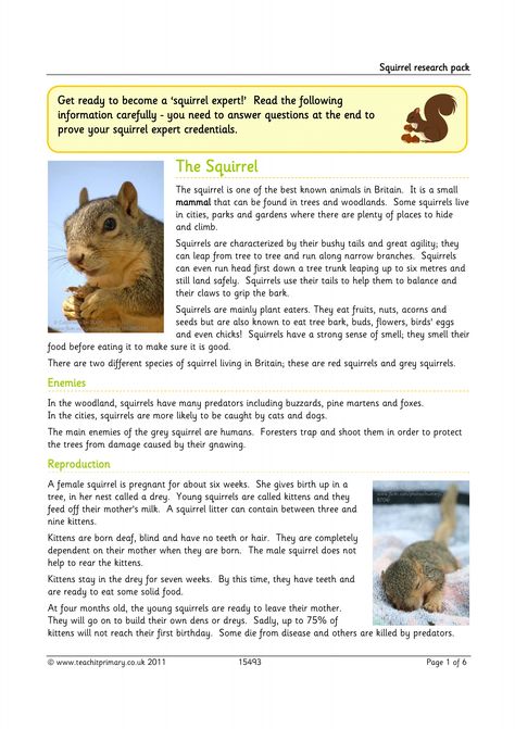 Squirrel research pack Animals Activities, Experiments Kids, Science Week, Ground Squirrel, Squirrel Cage, Kids Story, Science Topics, Animal Science, Plant Science