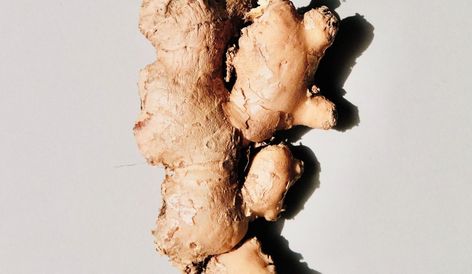 The Power-Packed Research Behind Ginger | John Douillard's LifeSpa | Ayurveda and Natural Health Ginger Shot Benefits, Ginger Picture, Tattoo Plant, Ginger Shot, Speed Foods, Ginger Benefits, Ginger Oil, Immunity Booster, Ginger Tea