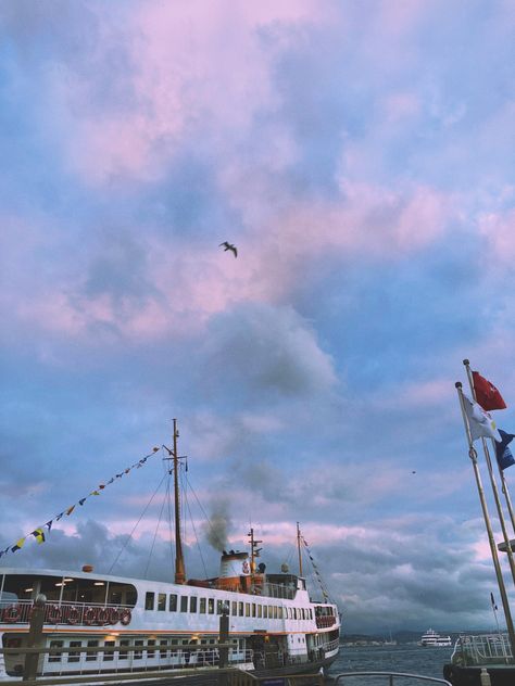 Ferry Ride Aesthetic, Ferry Aesthetic, Digital Bookshelf, Heart Bones, Wonderland Aesthetic, Journal 2023, Dark Heaven, Book Aesthetics, Random Pictures