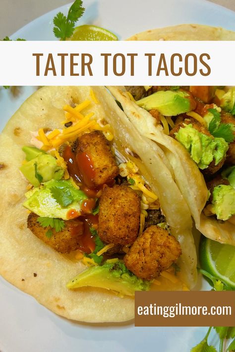 Tater Tot Tacos 8.01 Winter Tater Tot Tacos, Tater Tot Taco, Ground Beef Taco Seasoning, Eating Tacos, Taco Ingredients, Ground Beef Tacos, Corn Salsa, Tater Tots, Canned Corn