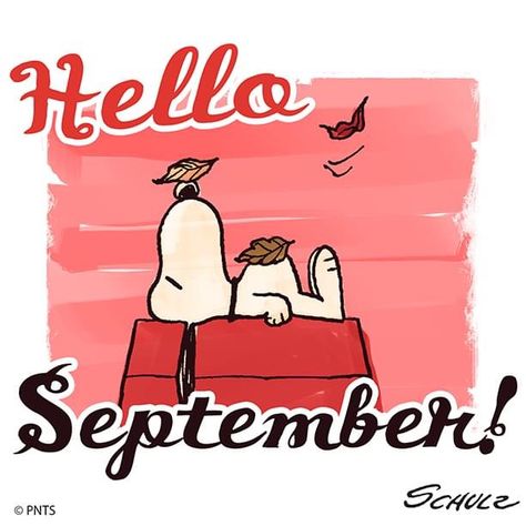 September Quotes, Snoopy Museum, September Wallpaper, Welcome September, Woodstock Snoopy, Snoopy Comics, Peanuts Comic Strip, Snoopy Funny, Hello September