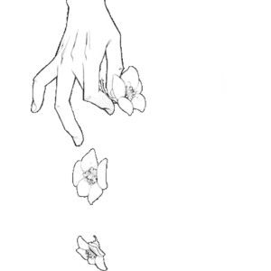 Falling Drawing, Tumblr Outline, White Sketches, Falling Flowers, Why Don't We, Black And White Sketches, Flower Sketches, Pretty Drawings, Outline Art