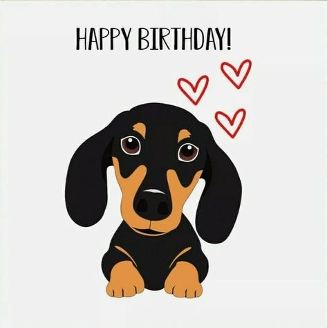 Happy Birthday Dachshund, Dachshund Cartoon, Dog Marketing, Dachshund Birthday, Funny Happy Birthday Wishes, Birthday Clips, Emoji Birthday, Dachshund Art, Pet Remembrance