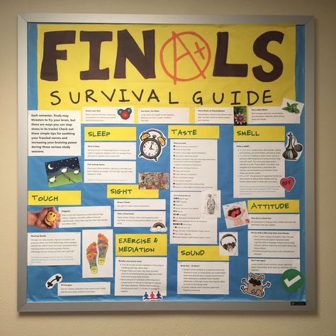 Finals Survival Guide bulletin board Finals Week Bulletin Board, Finals Ra Bulletin Board, Ra Finals Bulletin Board, Exam Bulletin Board Ideas, Finals Bulletin Board, Residence Life Bulletin Boards, Resident Assistant Door Decs, Ra Inspiration, Resident Assistant Bulletin Boards