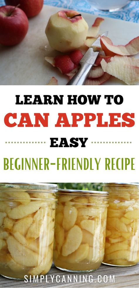 Canning Apples:  Learn how to can apples with easy beginner friendly canning recipe. Customize sugar levels with tips from #SimplyCanning. 🍎🍏 #CanningApples #Apples https://www.simplycanning.com/canning-apples/ Apples Canning, Apple Recipes For Canning, Can Apples, Preserving Apples, Canning Apple Pie Filling, Canning Applesauce, Canning Apples, Easy Canning, Pressure Canning Recipes