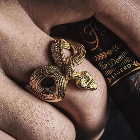 Shop Amazon for a variety of jewelry accessories to complement your look. Add some glamour to your style! Serpent Ring, Rings Style, Ring Settings Types, Snake Jewelry, Vintage Punk, Estilo Punk, Snake Ring, Ring Setting, Gold Plated Rings