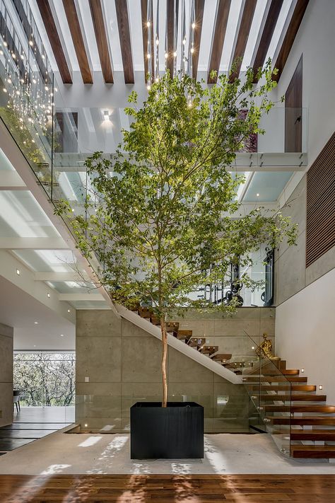 Living Room Lighting Design, Contemporary Residence, Architecture Program, Stairway Design, Indoor Trees, Staircase Railings, Interior Stairs, Patio Interior, Shop Front Design