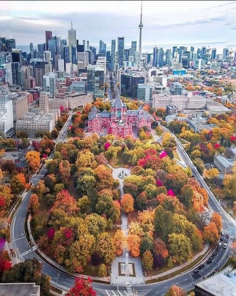 Toronto - Canada 🇨🇦 Credit: @rahuul_s : CityPorn Toronto Street Photography, Toronto Fall, Toronto Street, Toronto Zoo, Toronto City, O Canada, Toronto Life, Downtown Toronto, Wonderful Picture