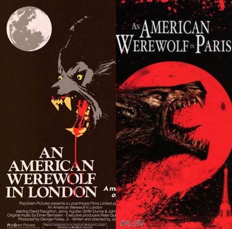 An American Werewolf in London vs An American Werewolf in Paris Underworld Creatures, Occult Movies, Wolf Brigade, Fantastic Beasts Creatures, Creature Movie, An American Werewolf In London, Werewolf In London, Horror Collection, American Werewolf In London