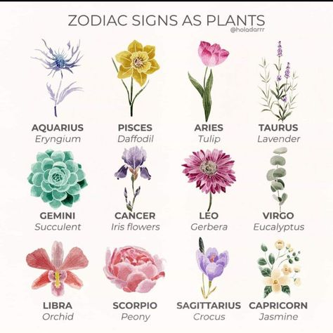 Zodiac Sign Flowers, Flower Kinds, Sign Flowers, Flower Sign, Horoscope Tattoos, The Language Of Flowers, Flower Tattoo Shoulder, Birth Flower Tattoos, Flower Meanings