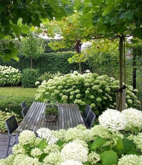 Jardim Diy, Have Inspiration, Backyard Garden Design, White Gardens, Small Garden Design, Gorgeous Gardens, Garden Cottage, Small Gardens, Shade Garden