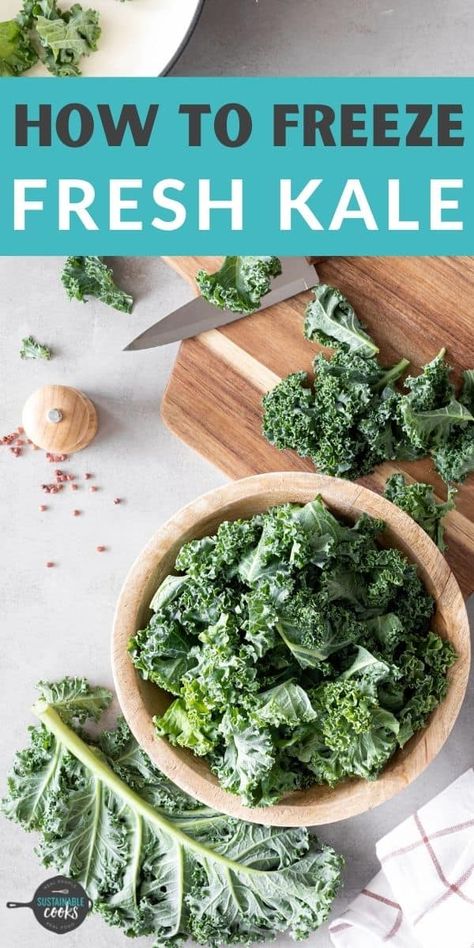 How To Freeze Kale, Green Smoothie Prep, Money Learning, Vegetarian Breakfast Casserole, Harvesting Kale, Frozen Smoothie Packs, Freezing Kale, Freezer Cooking Recipes, How To Cook Kale