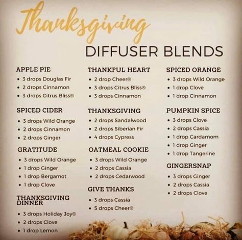 November Diffuser Blends Doterra, November Diffuser Blends, Thanksgiving Diffuser Blends, Diffuser Blends Doterra, Essential Oil Perfumes Recipes, Fall Diffuser Blends, Doterra Diffuser Blends, Essential Oil Combinations, Essential Oils 101