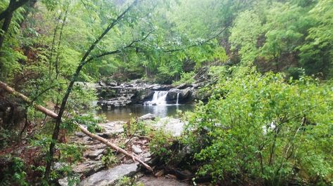 The Chinnabee Silent Trail will lead you to Devil's Den Falls, one of Alabama's most beautiful swimming holes. Talladega National Forest, Alabama Travel, Swimming Hole, Waterfall Hikes, Swimming Holes, Scenic Beauty, Fall Pictures, Beautiful Waterfalls, Natural Scenery