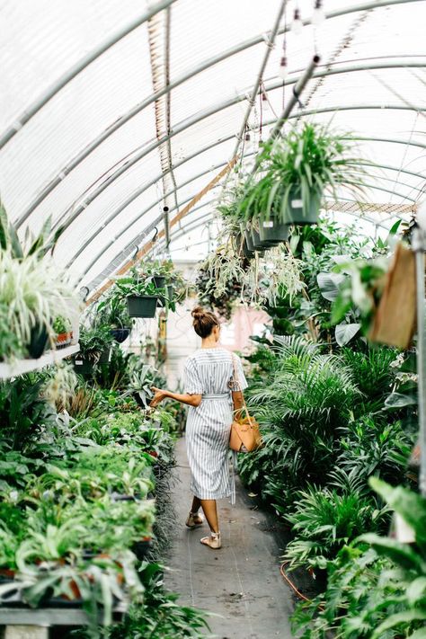 What to #Wear on a #Plant #Shopping #Weekend - #CamilleStyles #greenhouse #gardening #succulents #Austin Greenhouse Inspiration, Plant Shopping, Diy Container Gardening, Austin Shopping, Greenhouse Garden, Happy Weekend Quotes, Weekend Quotes, Camille Styles, Living Room Plants