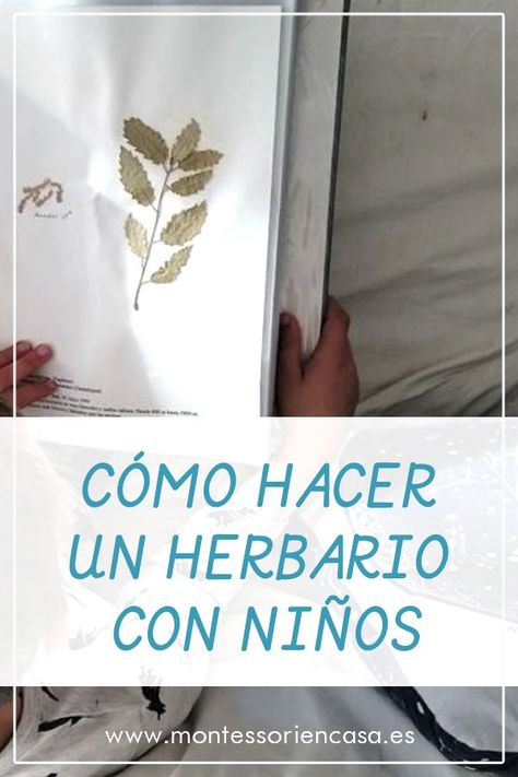 Quieres hacer un herbario con tus hijos? Lee este post aquí! #montessori #montessoriencasa Activities To Do With Toddlers, Montessori Diy, Activities To Do, Montessori, Acting, Education, Instagram