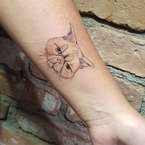 Small Animal Tattoos, Animal Tattoos For Women, Awesome Tattoo, Cat Tattoo Designs, Exotic Cats, Badass Tattoos, Great Tattoos, Persian Cat, Animal Tattoos