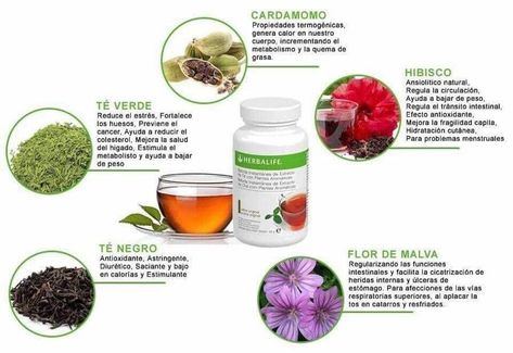 Los beneficios de la bebida instantánea de extractos de té #nutricion #nutricioncelular #herbalife #nupalace_tubienestar Herbalife Diet, Herbalife Nutrition Club, Healthy And Unhealthy Food, Nutrition Club, Corporate Id, Herbalife Recipes, Diet Chart, Herbalife Nutrition, Unhealthy Food