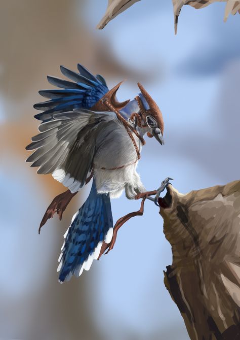 Bluejay Illustration, Blue Bird Art, Dragon Illustration, A Work In Progress, Creature Concept, Blue Jays, Blue Jay, Creature Design, Art Stuff