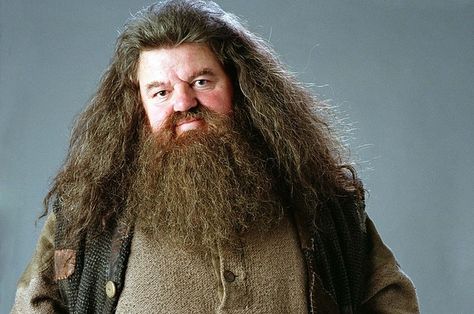 Which Beard From "Harry Potter" Should You Rock-I got Albus Dumbledore! Quiz Harry Potter, Beards And Mustaches, Michael Gambon, Robbie Coltrane, Rubeus Hagrid, Harry Potter Quiz, Cho Chang, Epic Beard, Neville Longbottom