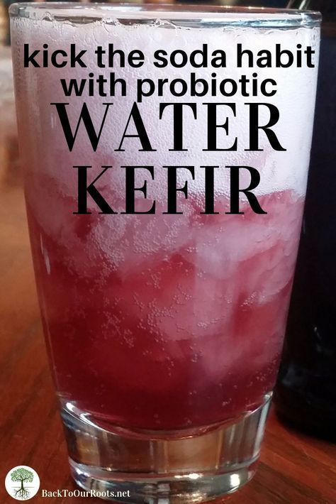 Diy Probiotic Soda, Prebiotic Soda Recipe, Probiotic Soda Recipe, Japanese Fermented Foods, Water Keifer, Probiotic Water, Fermented Soda, Homemade Kefir, Kefir Water