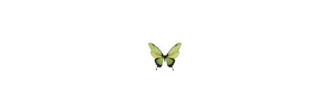 Green Butterfly Header, Hider Twitter, Butterfly Header, Fb Profile Picture, Packs Twitter, Fb Profile, Twitter Header Pictures, Header Pictures, Thought Quotes