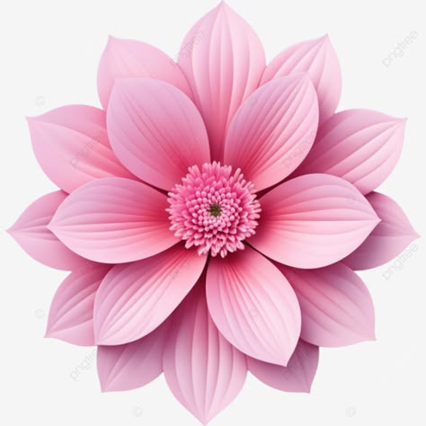 realistic beautiful pink flowers illustration element flowers png Png Flowers Design, Pink Flower Illustration, Flower Png Transparent, Flower Clip Art, Single Flowers, Flower Png Images, Flower Pattern Drawing, Element Illustration, Hot Pink Flowers