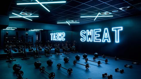 Gymshark’s world-class work(out) space offers a refreshing take on wellbeing - News - Frameweb Gym Lighting, Gym Design Interior, Indoor Gym, Gym Interior, Fitness Facilities, Bar Workout, Home Gym Design, Boxing Gym, Gym Room