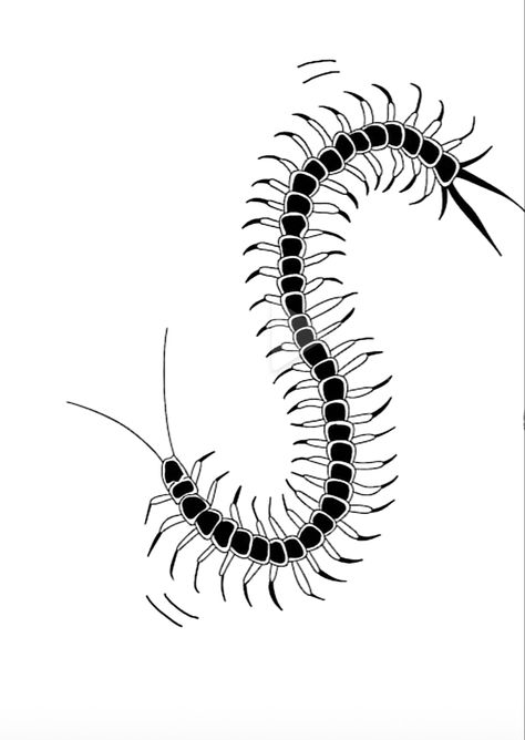 Centipede Tattoo Stencil, Simple Centipede Tattoo, Small Centipede Tattoo, Centipede Flash Tattoo, Centipede Collar Bone Tattoo, Centipede Drawing Art, Centipede Drawing, Cool Centipede Tattoo, Front Ankle Tattoos